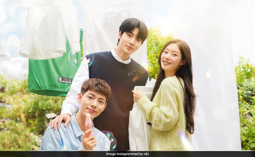 पसंद से परिवार समीक्षा: एक ख़ूबसूरत संतुष्टिदायक फिर भी खट्टा-मीठा के-ड्रामा