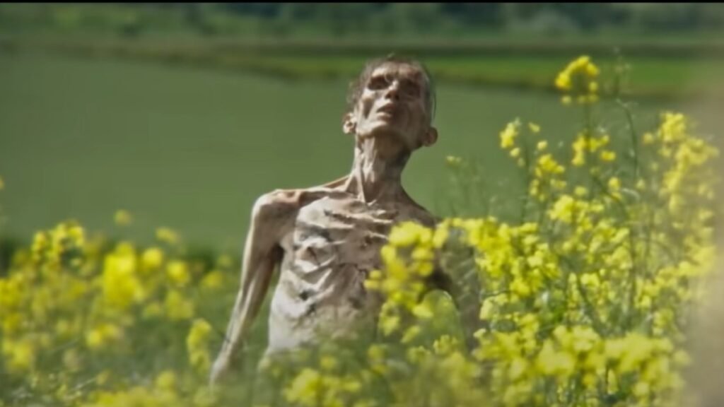 28 साल बाद ट्रेलर अब रिलीज़ हुआ! सिलियन मर्फी क्या आप हैं? 28 साल बाद ट्रेलर अब रिलीज़ हुआ! सिलियन मर्फी क्या आप हैं?