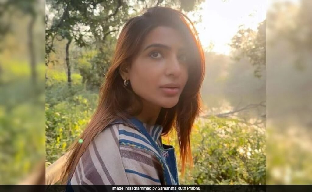 सामंथा रुथ प्रभु ने नागा चैतन्य की सोभिता धूलिपाला से शादी के बाद गुप्त पोस्ट साझा की: "इस साल ने परीक्षण किया है..."