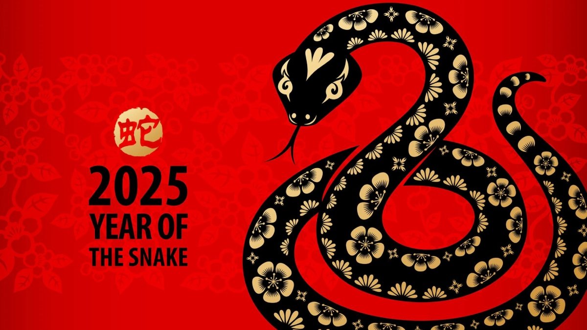 चीनी चंद्र नव वर्ष 2025: सांप के वर्ष के बारे में सब पता है, इसका क्या मतलब है और अधिक है
