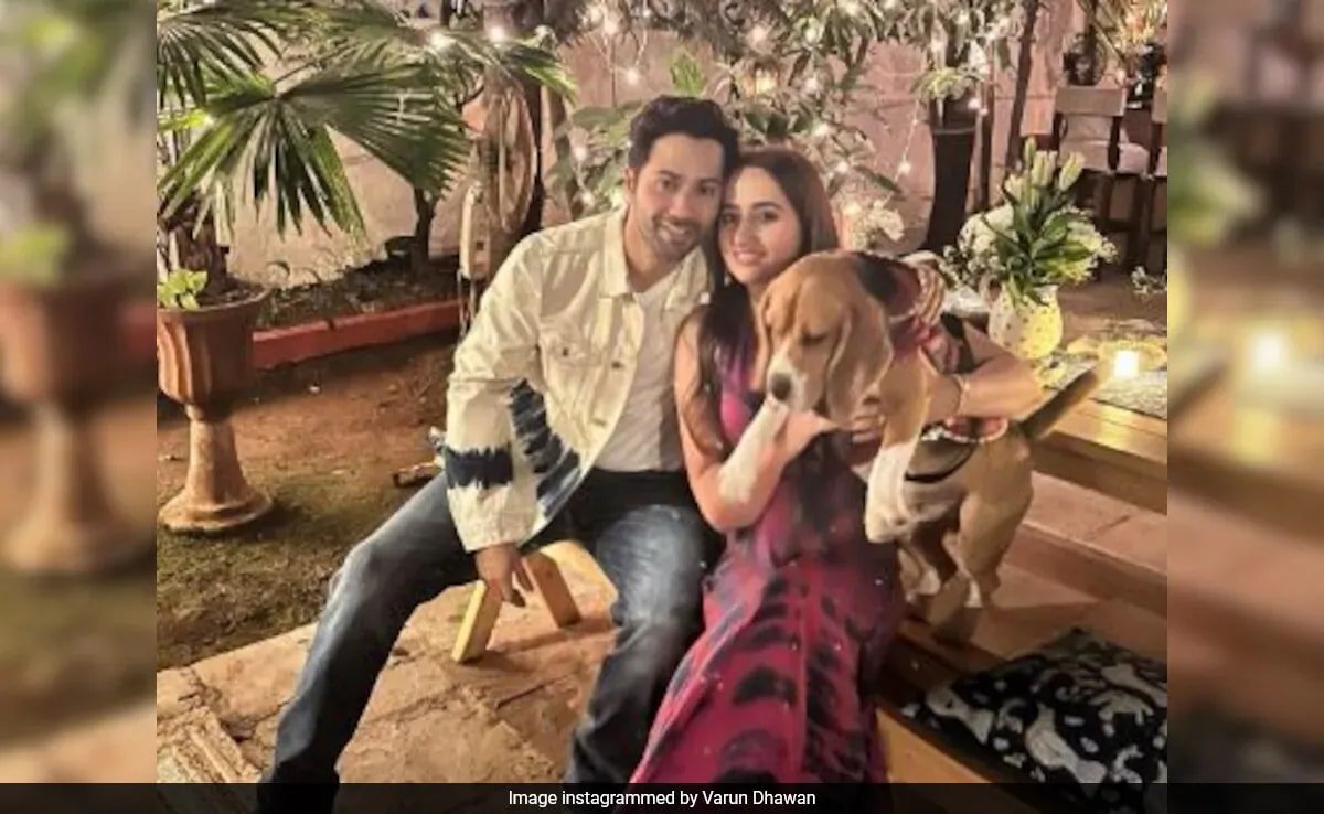 वरुण धवन और नताशा दलाल ने मुंबई में खरीदी 44 करोड़ रुपये की लग्जरी प्रॉपर्टी: रिपोर्ट