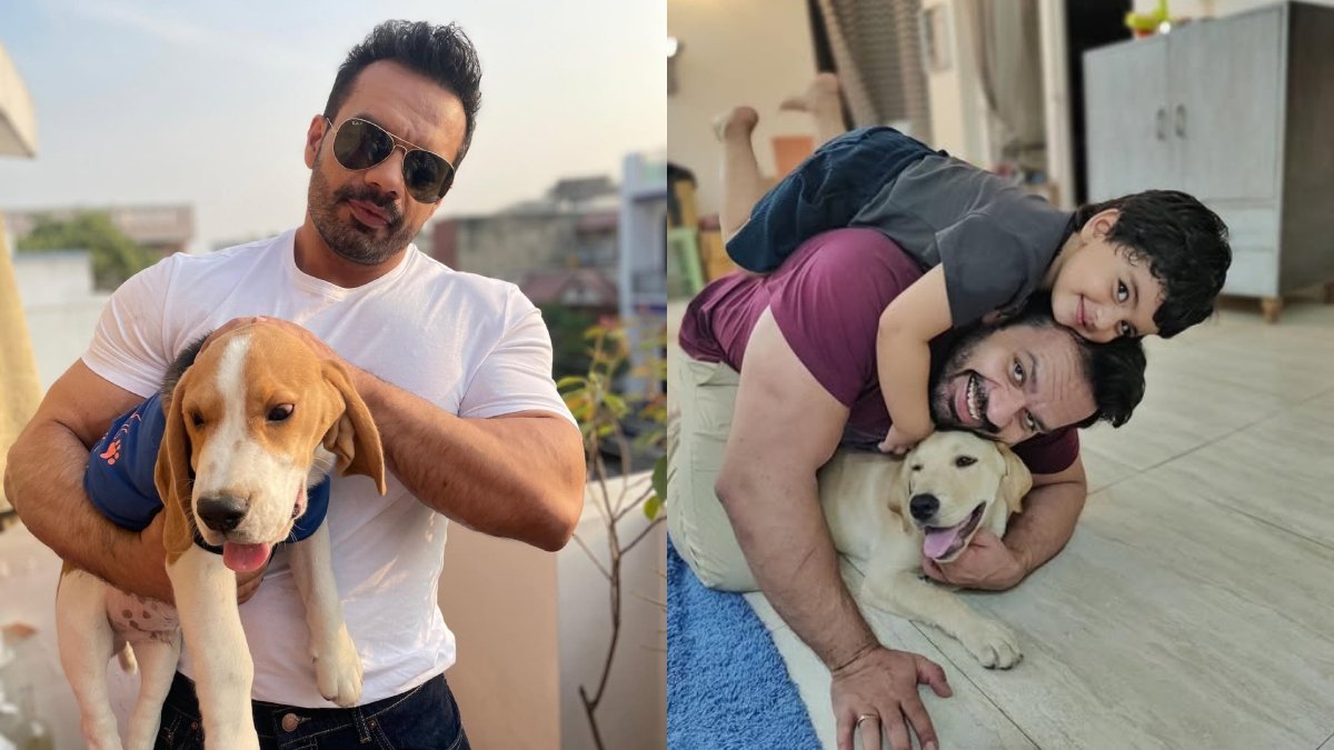 यहाँ क्यों है कि Youtuber गौरव तनेजा उर्फ ​​फ्लाइंग जानवर को उनके प्रशंसकों द्वारा स्वार्थी कहा जा रहा है, पूरे मामले को जानते हैं