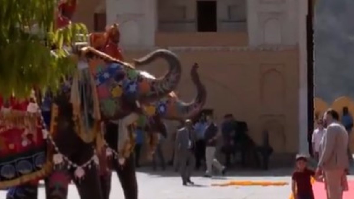 एलिफेंट्स टू फोक डांसर्स: जेडी वेंस, परिवार को जयपुर के एम्बर किले में शाही स्वागत है घड़ी