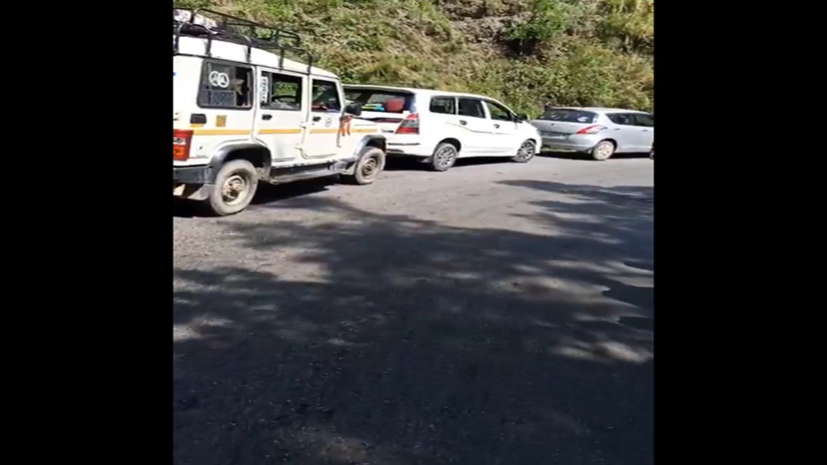 उत्तराखंड हॉलिडे रश के साथ संघर्ष: ट्रैफिक जाम द्वारा अपंग प्रमुख पर्यटन स्थल | वीडियो