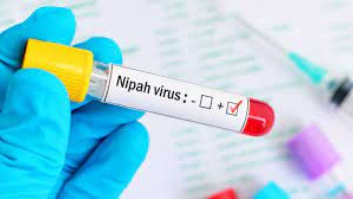 केरल में दूसरे संदिग्ध निपाह की मौत की सूचना दी गई, छह जिले अलर्ट पर डाले गए, निगरानी में वृद्धि हुई