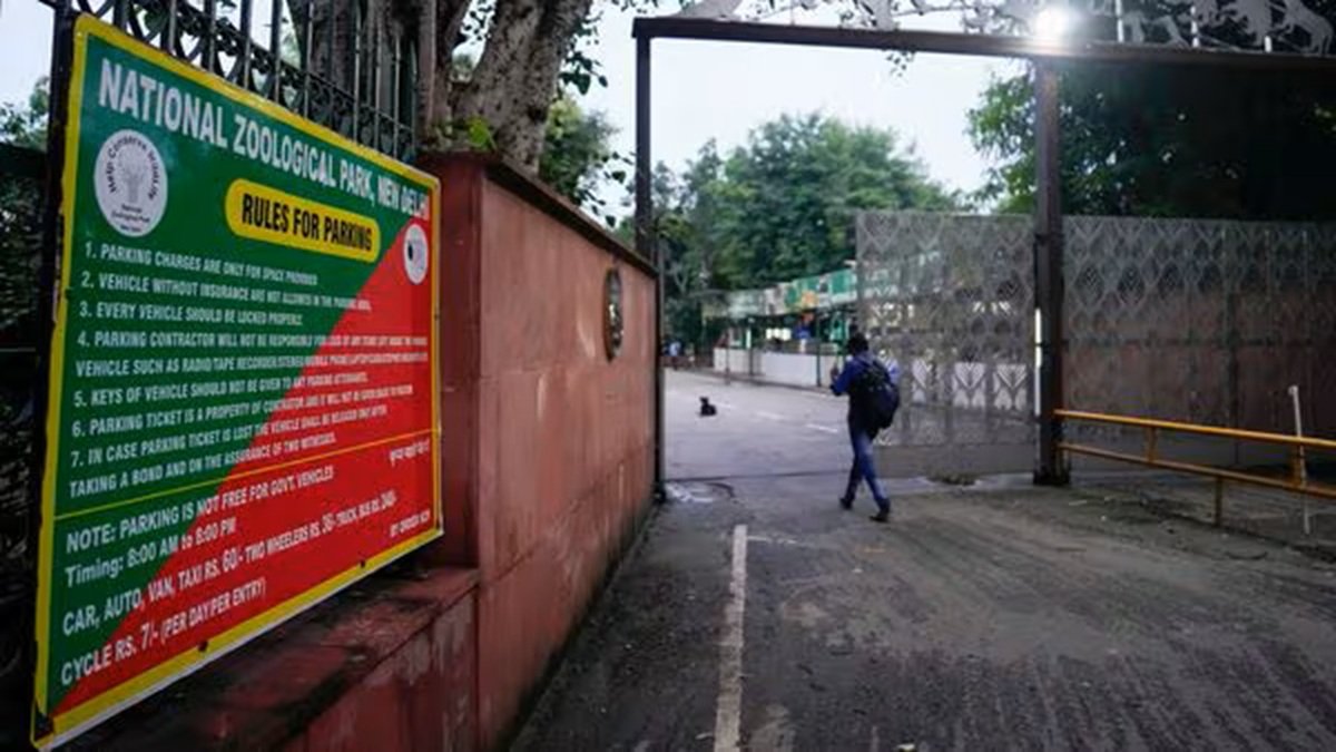 दिल्ली चिड़ियाघर अस्थायी रूप से H5N1 बर्ड फ्लू के प्रकोप के बाद चित्रित स्टॉर्क के बीच बंद हो गया