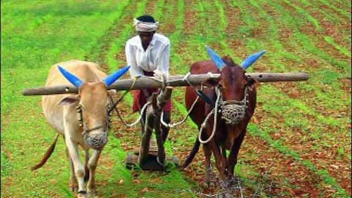 किसान दिवस 2025: किसानों के लिए शीर्ष 10 सरकारी योजनाओं की जाँच करें
