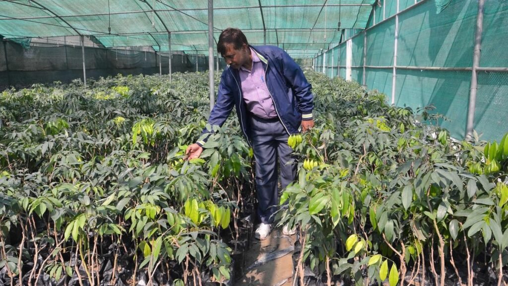 21 मार्च से पटना में तीन दिवसीय बिहार नर्सरी और ग्रीन-टेक कॉन्क्लेव 2026 21 मार्च से पटना में तीन दिवसीय बिहार नर्सरी और ग्रीन-टेक कॉन्क्लेव 2026