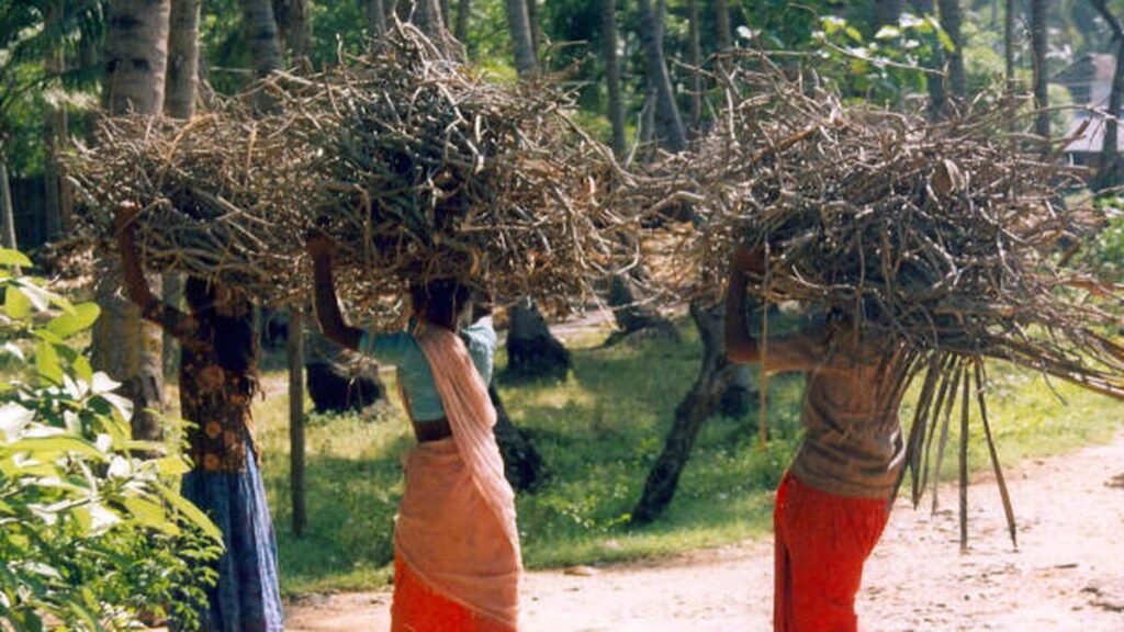 एलपीजी की कमी ने पीएम पोषण रसोई को लकड़ी जलाने के लिए मजबूर कर दिया है, जिससे महिला श्रमिकों पर बोझ पड़ रहा है