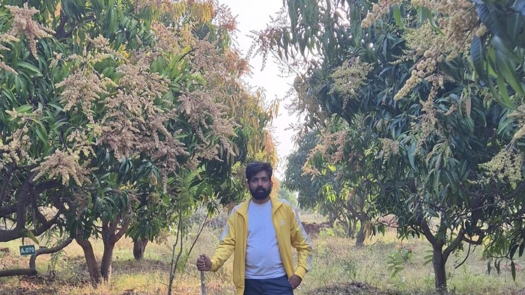 कोच्चि का एक कृषि-स्टार्टअप, रेंट ए ट्री, पूरे भारत में पट्टे पर आम के पेड़ उपलब्ध कराता है कोच्चि का एक कृषि-स्टार्टअप, रेंट ए ट्री, पूरे भारत में पट्टे पर आम के पेड़ उपलब्ध कराता है