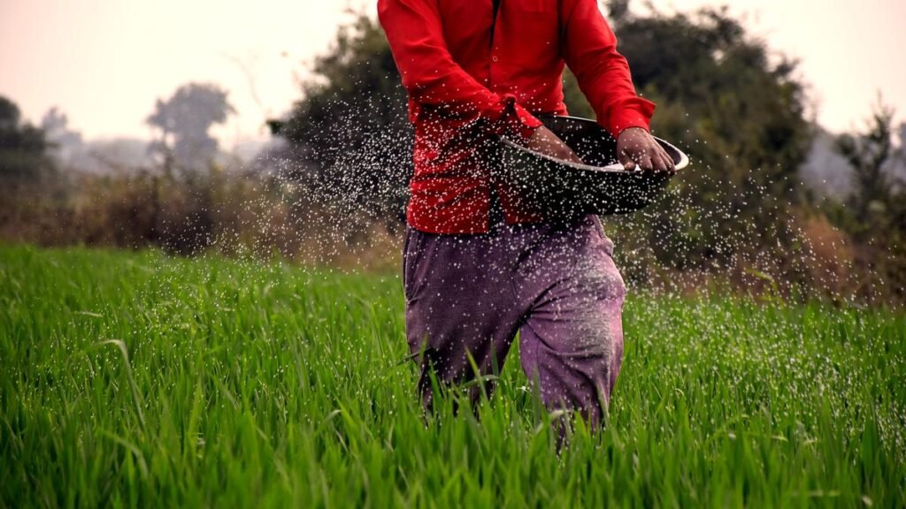 ख़रीफ़ के लिए उर्वरक स्टॉक: केंद्र संकट से बचने के लिए संघर्ष कर रहा है ख़रीफ़ के लिए उर्वरक स्टॉक: केंद्र संकट से बचने के लिए संघर्ष कर रहा है