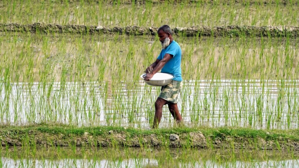 घबराने की जरूरत नहीं, देश में खरीफ के लिए उर्वरक का पर्याप्त भंडार है: केंद्र सरकार