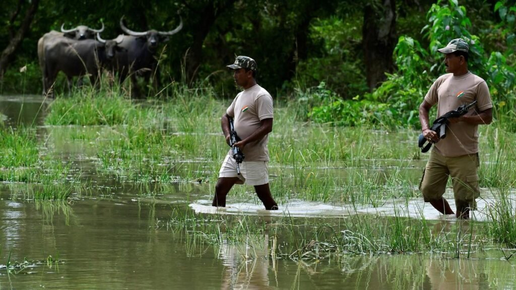 पूर्व सिविल सेवकों ने चुनाव ड्यूटी पर असम वन बल की 'अवैध' तैनाती का विरोध किया