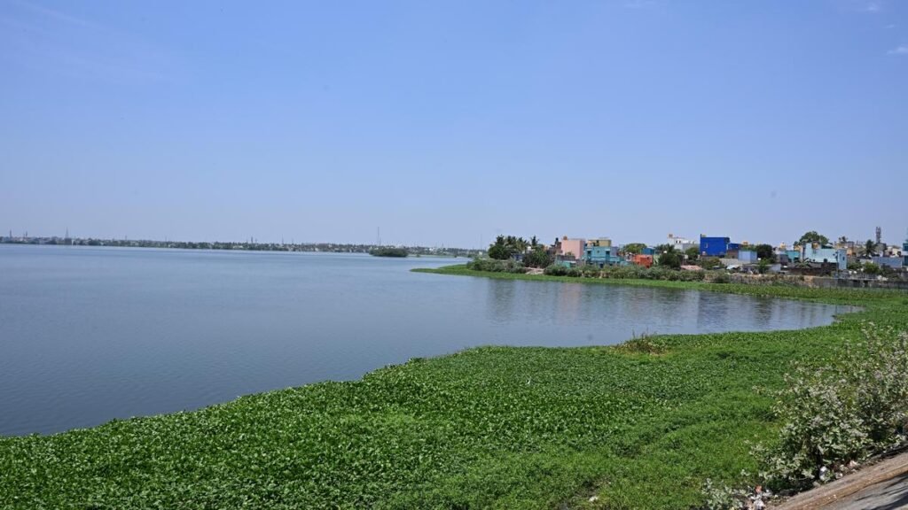 रुके हुए विकास से चिंतित निवासी जीएच, सीवर नेटवर्क, चौड़ी सड़कों की मांग कर रहे हैं रुके हुए विकास से चिंतित निवासी जीएच, सीवर नेटवर्क, चौड़ी सड़कों की मांग कर रहे हैं