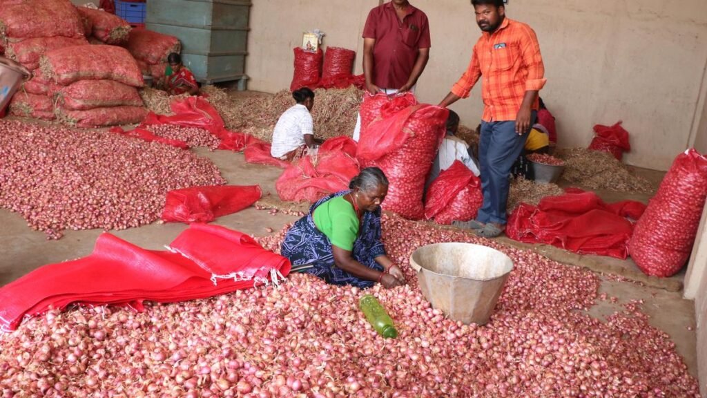 प्याज किसान केंद्र से ₹10,000 करोड़ का पुनरुद्धार पैकेज, स्थिर निर्यात नीति चाहते हैं