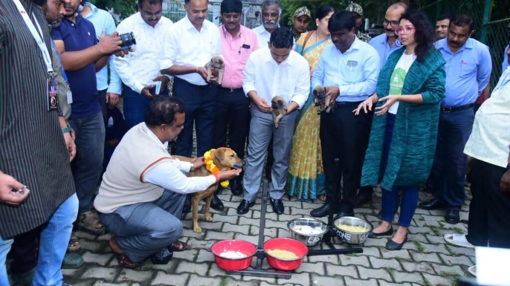 बेंगलुरू में पूर्व बीबीएमपी का आवारा कुत्तों को खाना खिलाने का कार्यक्रम ठंडे बस्ते में है बेंगलुरू में पूर्व बीबीएमपी का आवारा कुत्तों को खाना खिलाने का कार्यक्रम ठंडे बस्ते में है
