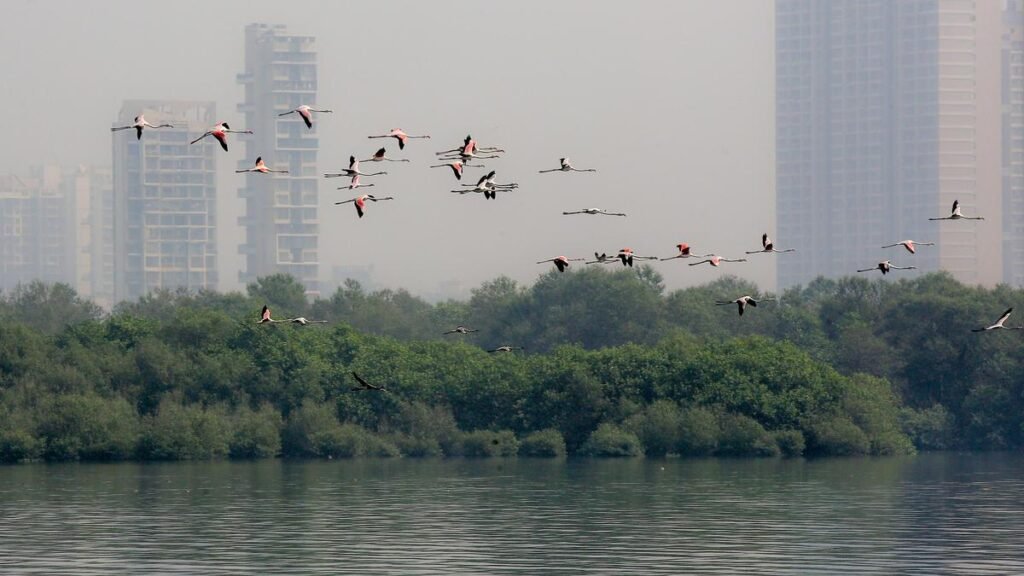 महाराष्ट्र ने 23,000 से अधिक आर्द्रभूमियों का दस्तावेज़ीकरण पूरा किया महाराष्ट्र ने 23,000 से अधिक आर्द्रभूमियों का दस्तावेज़ीकरण पूरा किया