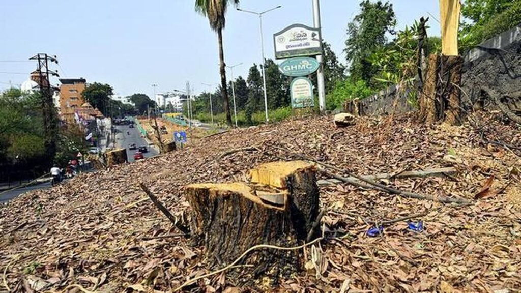 हैदराबाद में पेड़ों की कटाई की अनुमति अनधिकृत व्यक्तियों के हस्ताक्षर से पारित की गई