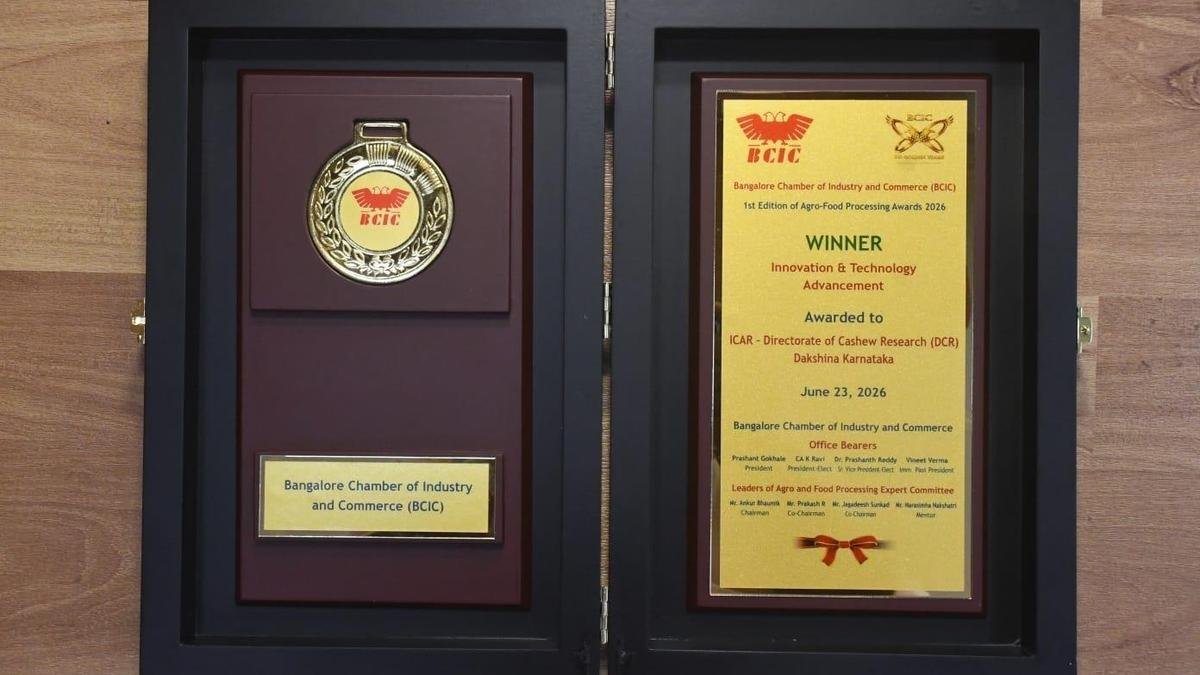काजू अनुसंधान निदेशालय को बीसीआईसी द्वारा नवाचार और प्रौद्योगिकी उन्नति पुरस्कार मिला