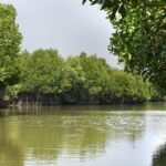 किसान, पर्यावरणविद परांगीपेट्टई तट पर हाइड्रोकार्बन कुओं के प्रस्ताव का विरोध करते हैं
