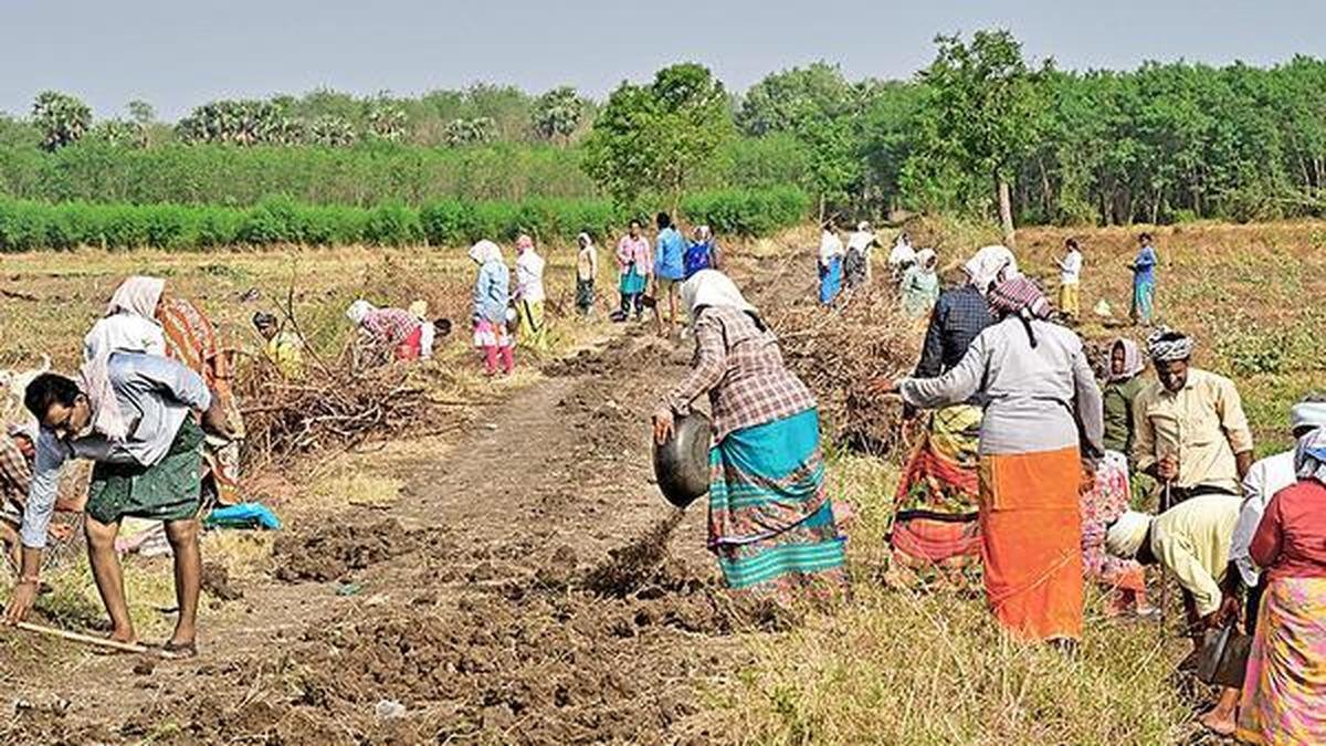 वीबी-जी रैम जी के लिए ₹95,962 करोड़ अलग रखे गए