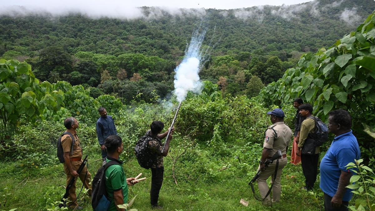 'संघर्ष' से बचने के लिए चलाकुडी के हाथियों का पीछा करने वाले लगातार निगरानी कर रहे हैं