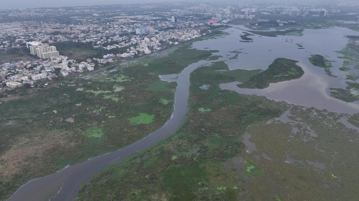 चेन्नई के पल्लीकरनई दलदली भूमि में क्विकसैंड