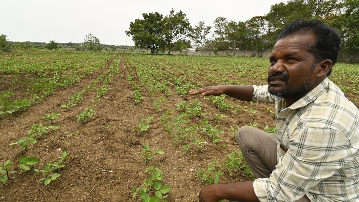 तेलंगाना के जलाशयों का स्तर सिंचाई के उपयोग को सीमित करता है; राज्य में भूजल 9.46 एमजीबीएल से घटकर 11.01 एमजीबीएल हो सकता है