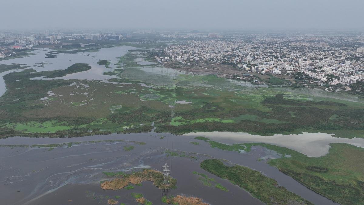 पल्लीकरनई परियोजना के लिए पर्यावरण मंजूरी रद्द करने के खिलाफ ब्रिगेड ने मद्रास उच्च न्यायालय का रुख किया