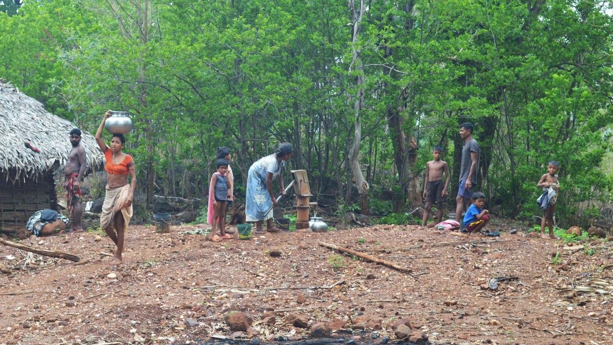 पूर्व माओवादी आजीविका और स्थिर भविष्य के लिए वर्षों के संघर्ष का व्यापार करते हैं