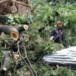 पूर्वोत्तर में बाढ़ और भूस्खलन से छह की मौत