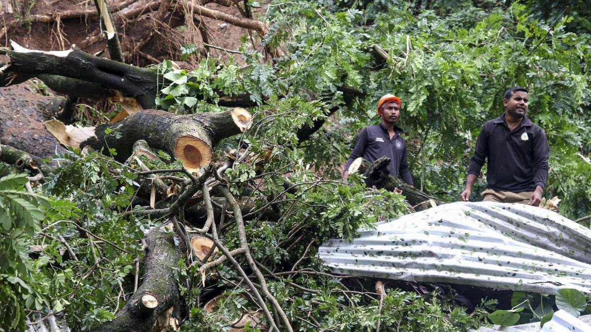 पूर्वोत्तर में बाढ़ और भूस्खलन से छह की मौत