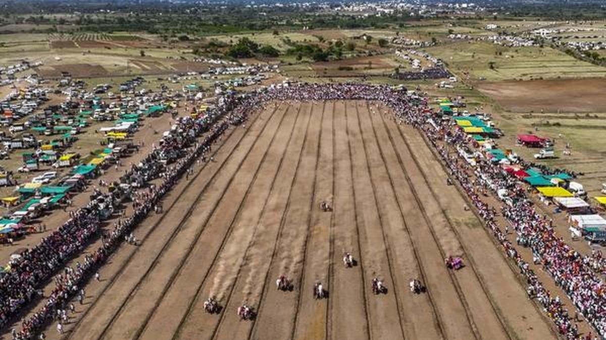 फ्रेम्स में समाचार: ट्रैक पर सबसे तेज़ खुर पहले