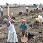 लिबटेक ने पाया कि मनरेगा परिवर्तन के बाद पहले पखवाड़े में श्रमिकों की संख्या में 67.6 लाख की कमी आई है