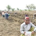 वीबी-जीआरएएम जी श्रमिकों को केंद्र द्वारा अधिसूचित मजदूरी दरों के रूप में न्यूनतम ₹300 प्रति दिन मिलेंगे