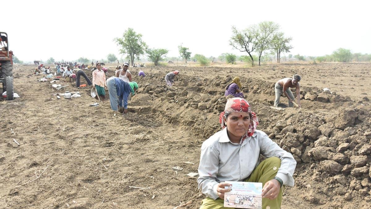 वीबी-जीआरएएम जी श्रमिकों को केंद्र द्वारा अधिसूचित मजदूरी दरों के रूप में न्यूनतम ₹300 प्रति दिन मिलेंगे