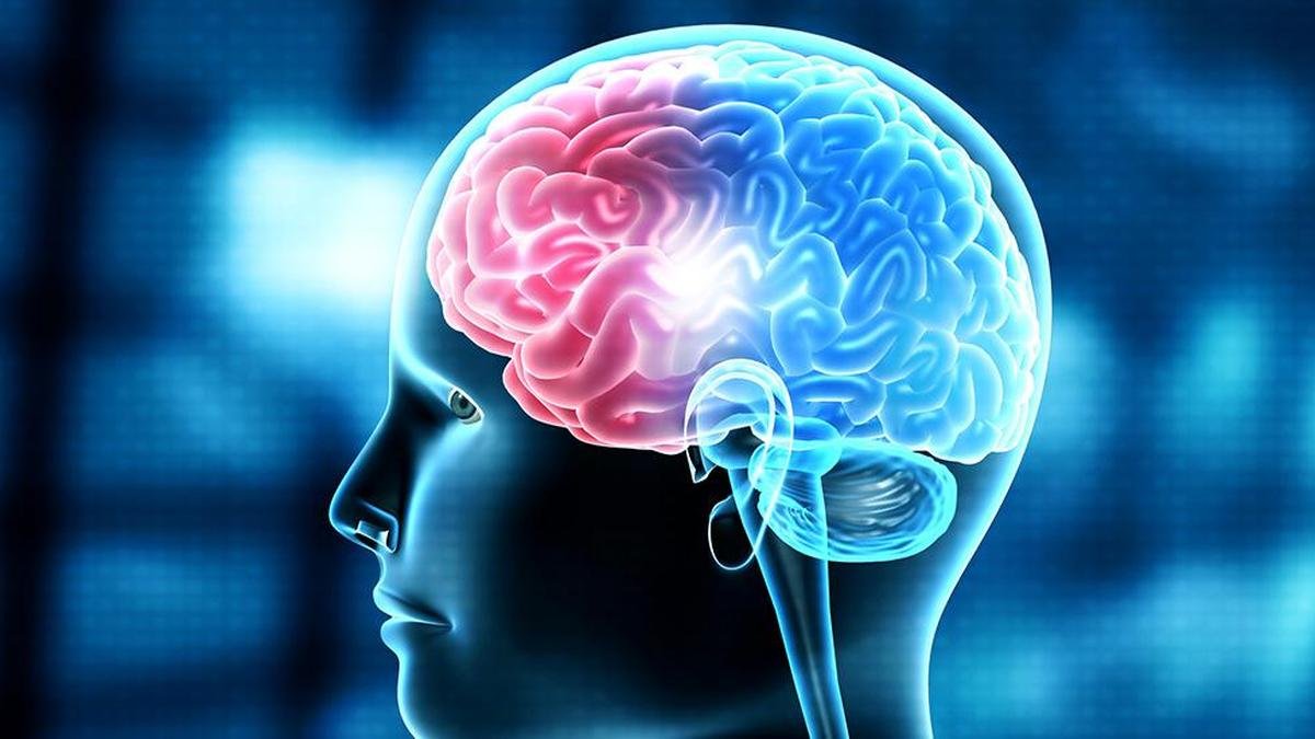 एनआईएमएचएएनएस अध्ययन से पता चलता है कि दुर्लभ न्यूरोलॉजिकल विकार में परिधीय सूजन मस्तिष्क क्षति का कारण बन सकती है