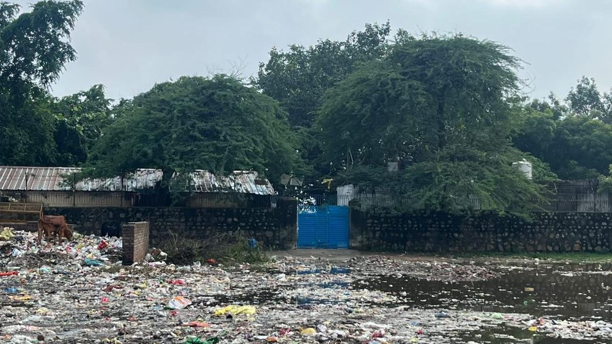 कचरा, पानी की कमी और टूटे पंखे: सीजेपी के 'स्कूल ठीक करो' अभियान के अंदर