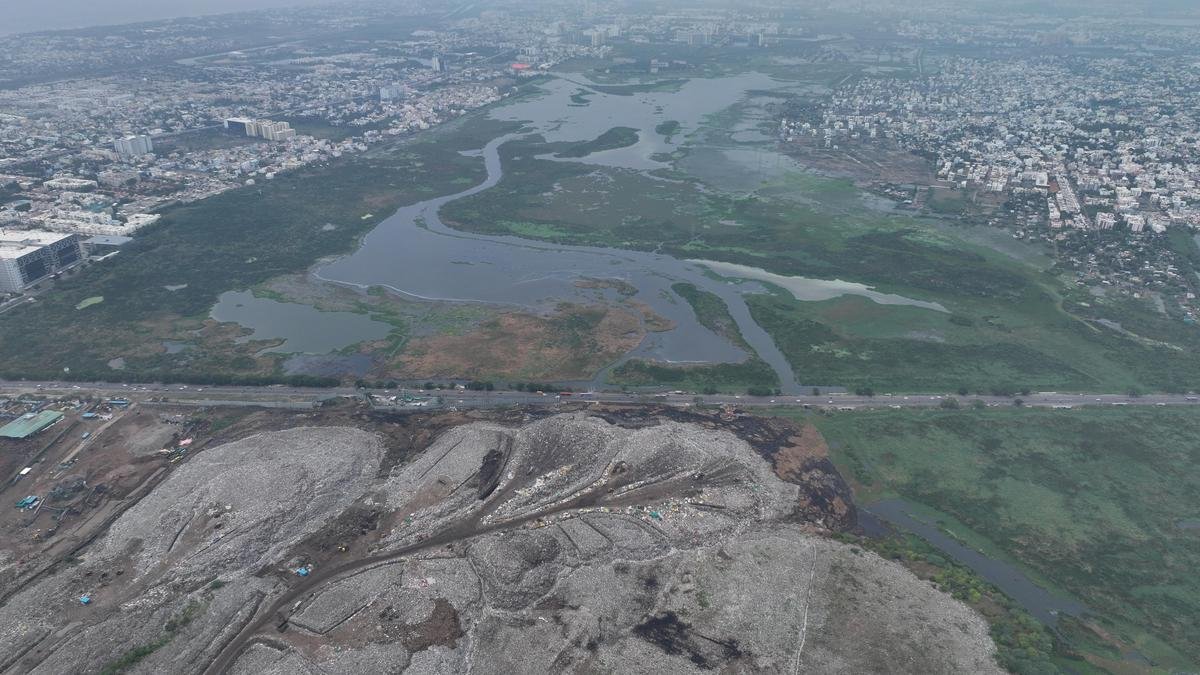 पल्लीकरनई दलदली भूमि के आसपास निर्माण गतिविधियों को विनियमित किया जा सकता है, प्रतिबंधित नहीं: टीएनएसडब्ल्यूए ने मद्रास उच्च न्यायालय को बताया