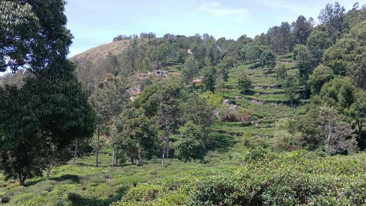 अनुसूचित जाति के गांव के लिए सड़क की 40 साल पुरानी मांग नीलगिरी में सांप्रदायिक दरार का कारण बनती है