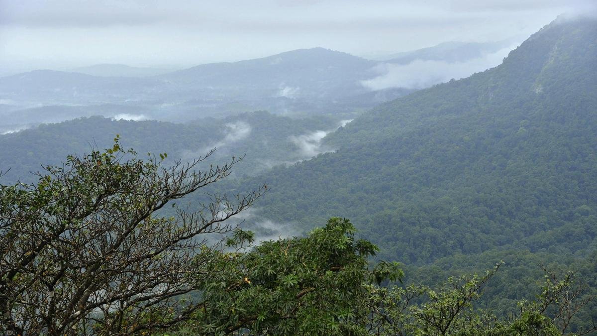 पश्चिमी घाट संरक्षण: निवासियों, पर्यावरणविदों का एक वर्ग कर्नाटक के राजनेताओं के दावों का प्रतिवाद करता है