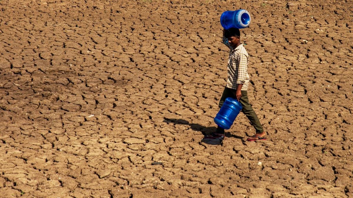 फ्रेम्स में समाचार: सूखे के बाद, एक ताज़ा राहत