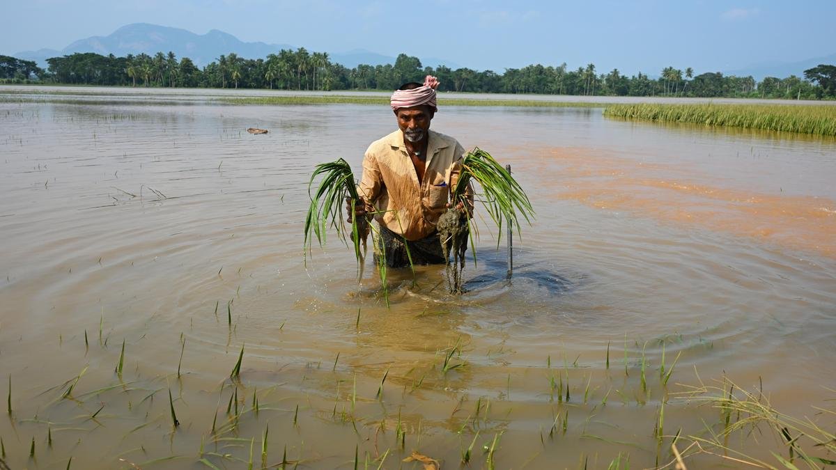 मुख्यमंत्री चंद्रबाबू नायडू ने बाढ़ प्रभावित क्षेत्रों में तत्काल राहत उपायों के आदेश दिए