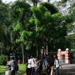 सार्वजनिक स्वास्थ्य विभाग ने स्पष्ट किया, अन्ना विश्वविद्यालय के छात्र की मौत डेंगू से नहीं हुई