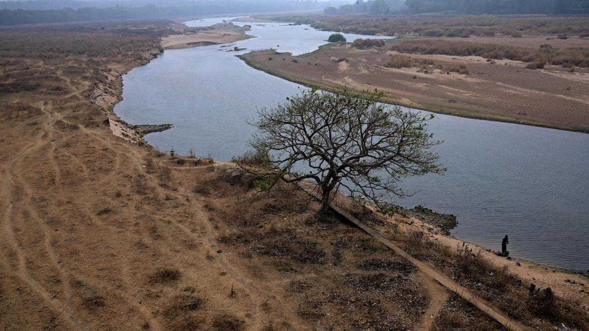 17 नदियों में रेत खनन की अनुमति देने के केरल सरकार के कदम पर ग्रीन पार्टी गुस्से में है