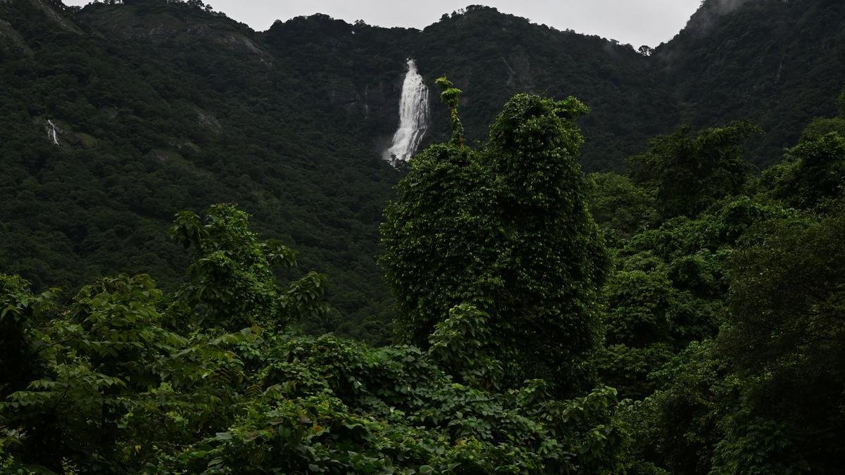ईएसए विवाद से केरल के मध्य त्रावणकोर में राजनीतिक टकराव शुरू हो गया है