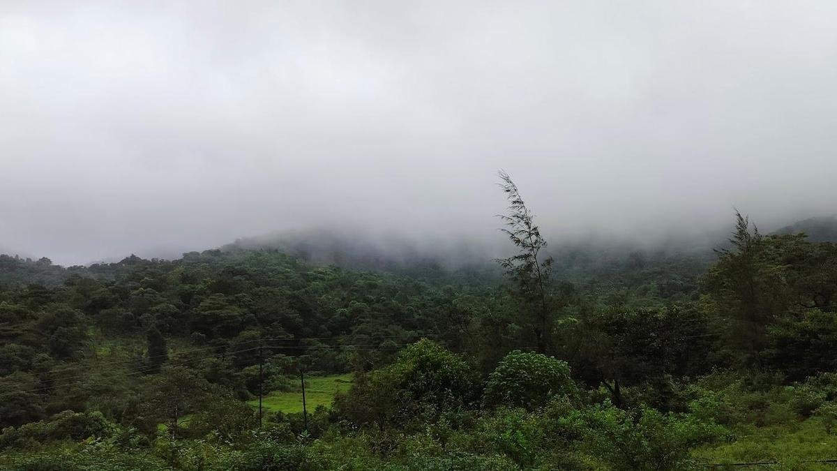 कर्नाटक में भूमि अनुदान की मांग करने वाले 17 लाख से अधिक आवेदन लंबित हैं या खारिज कर दिए गए हैं