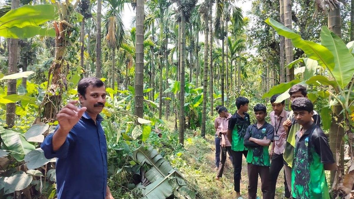 कर्नाटक: शिक्षकों के निस्वार्थ प्रयास ने कोंडलूर स्कूल परिसर को हरित संपत्ति में बदल दिया