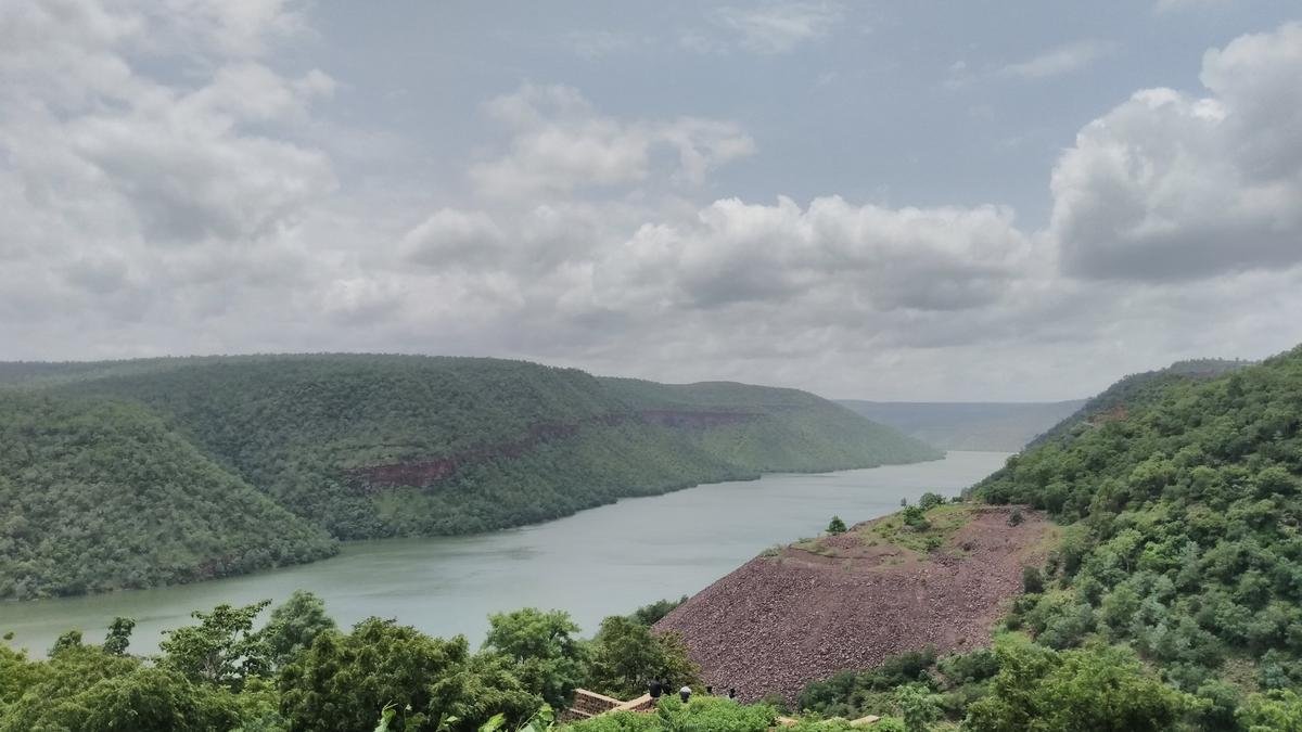 भारत की नदियों का अंतर्संबंध आक्रामक प्रजातियों को और अधिक क्षेत्रों तक ले जा सकता है