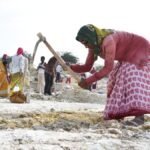 वीबी-जी रैम जी: प्रतिबंध हटाए गए; बिहार के सभी 38 जिलों में मजदूरों को मिलेगा काम